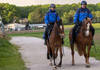 Deux policiers patrouillent à cheval près de la frontière à Troinex