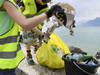 Net'Léman 2022: près de 4 tonnes de déchets ramassés dans les eaux