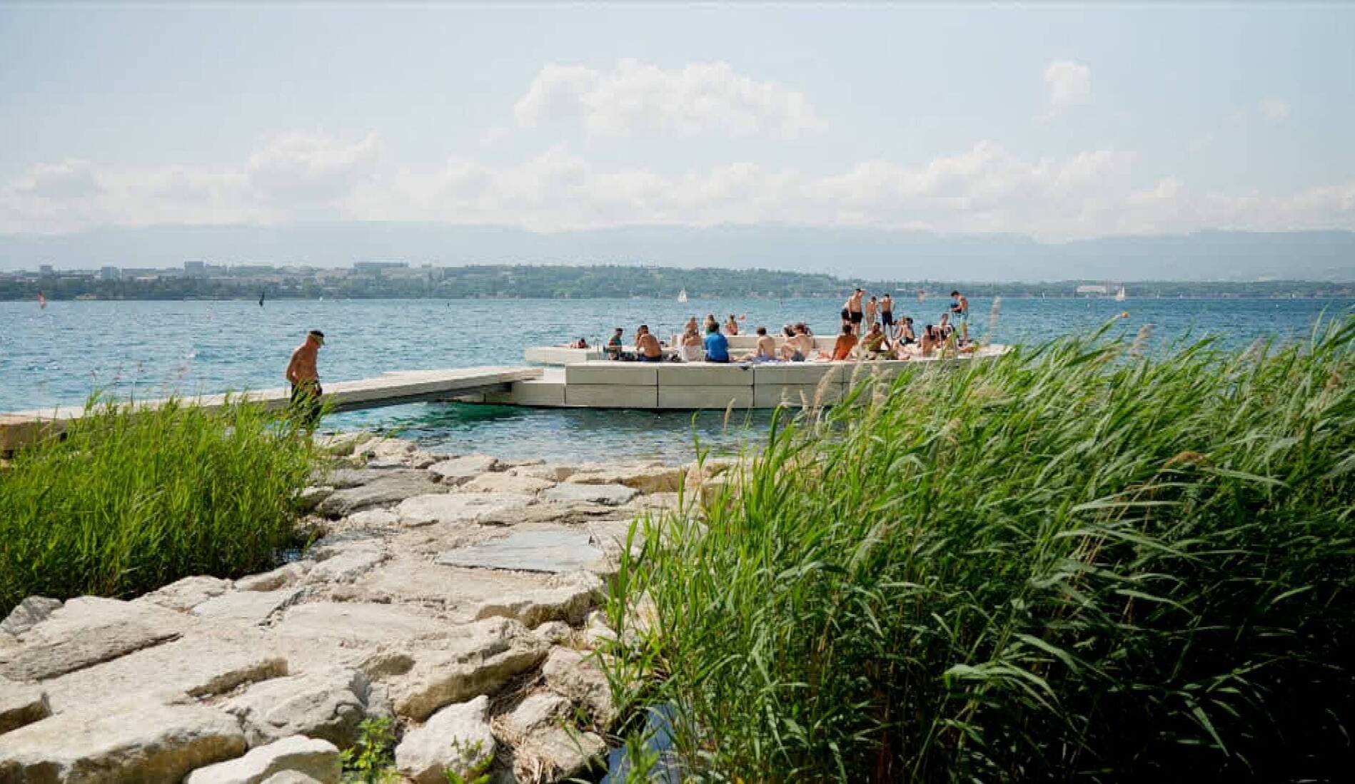 Baignade et biodiversité sur les quais de Cologny