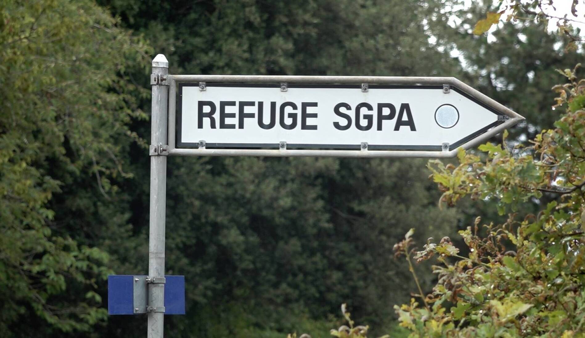 SPA: le comité démis tente son retour par l'achat de votes