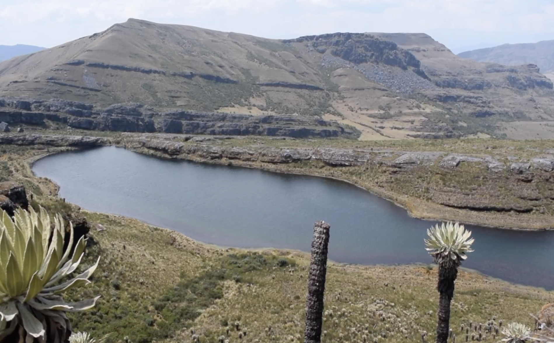 Les aqueducs colombiens défendus par une ONG Genevoise