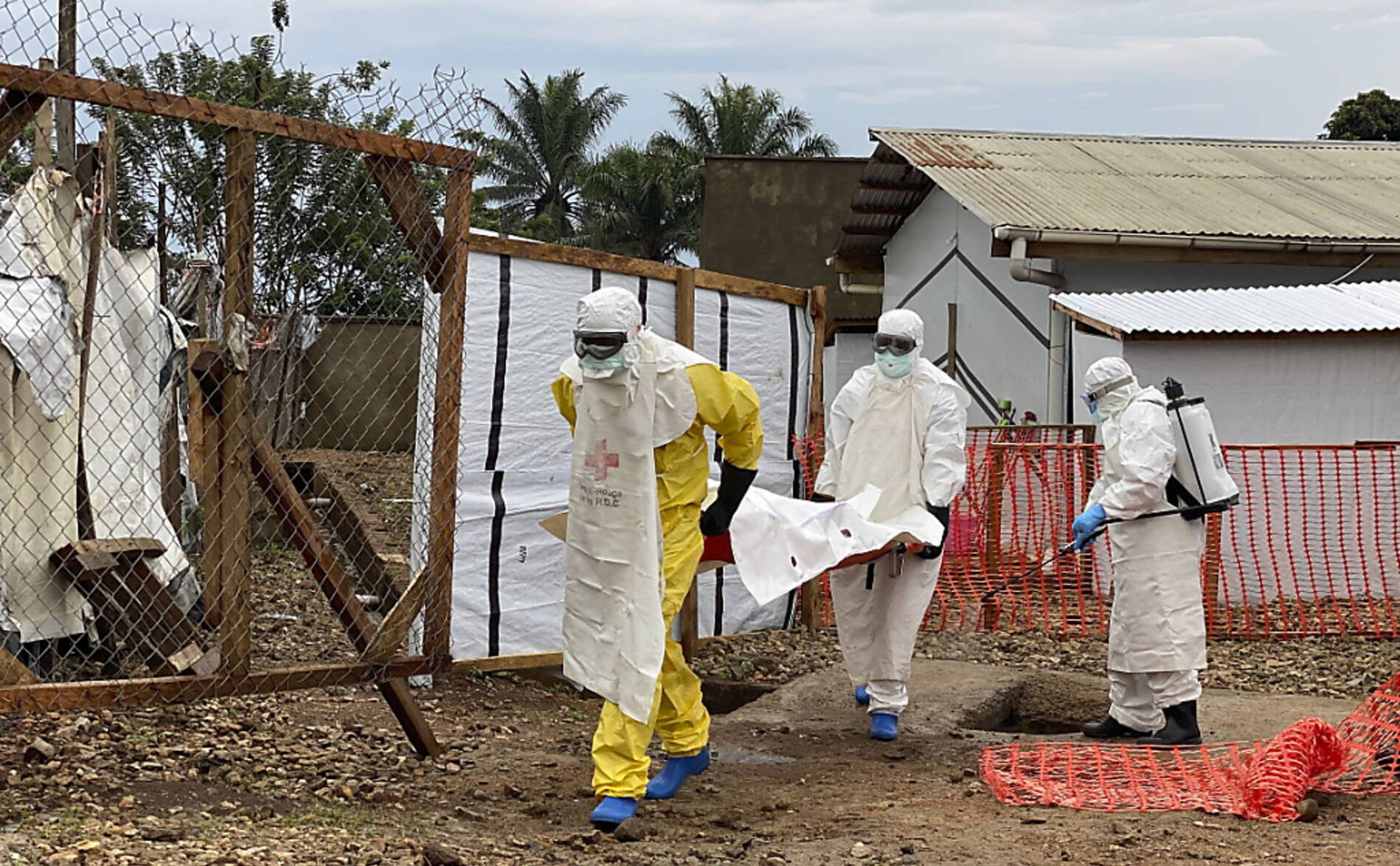 Ebola: deux traitements fortement recommandés par l'OMS