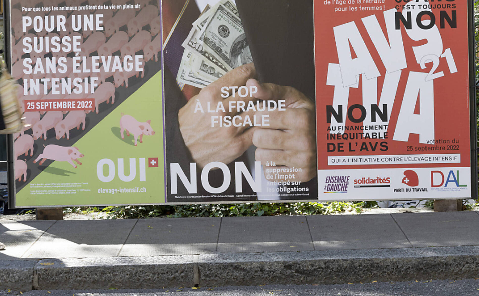 Le peuple se prononce sur l'AVS, l'élevage et l'impôt anticipé