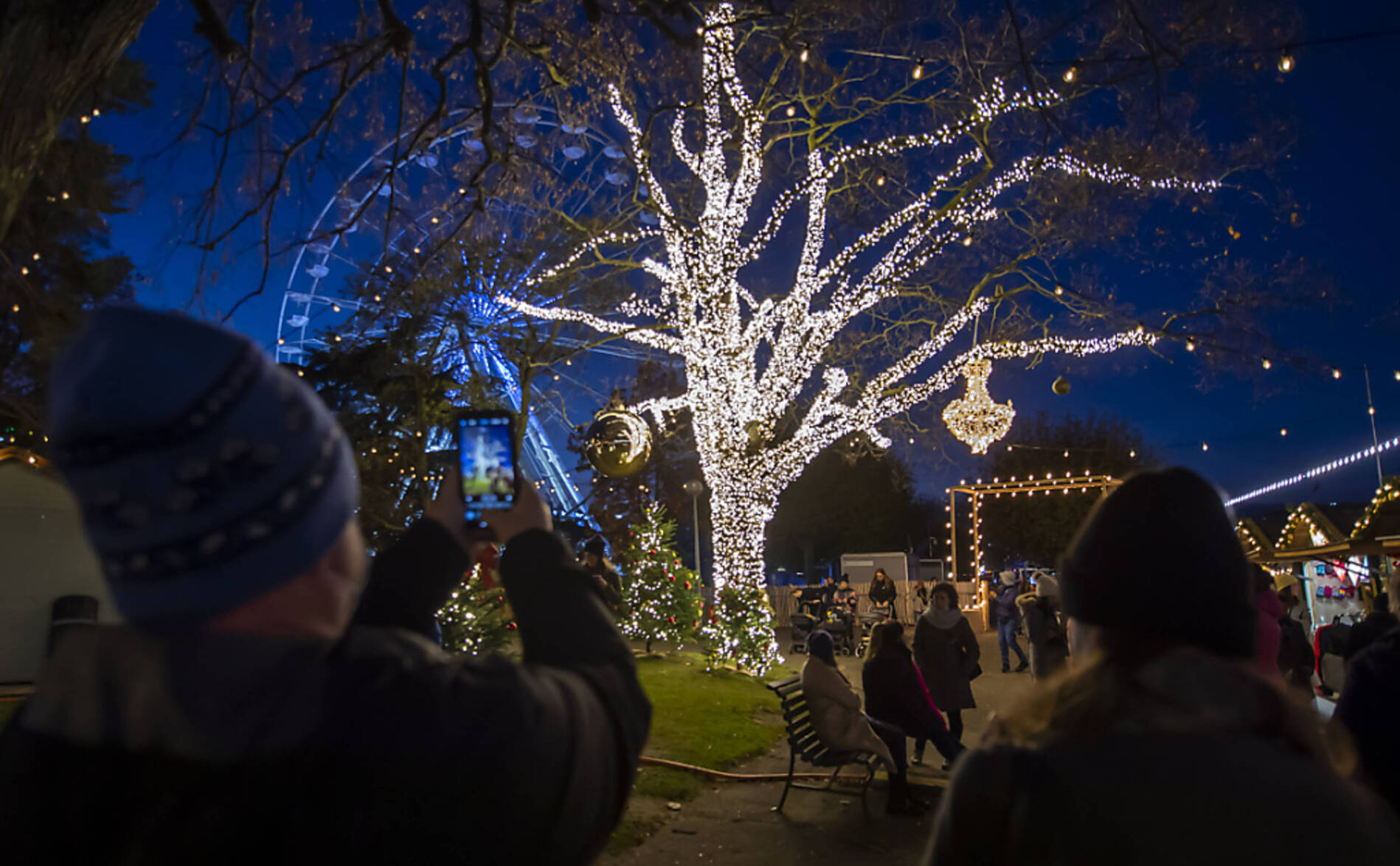 La Ville de Genève va planter près de 600 arbres durant l'hiver