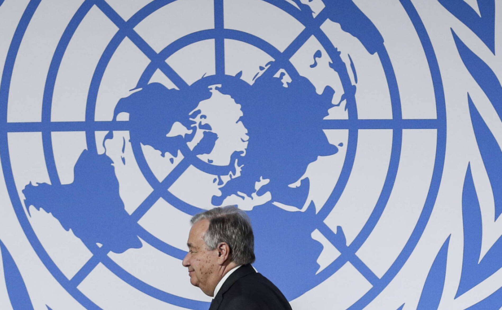 COP15: l'ONU exhorte les négociateurs à faire « un pas en avant »