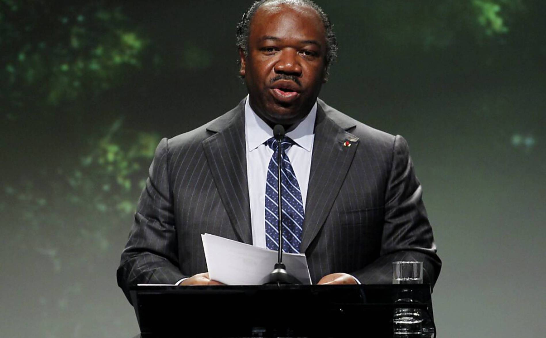 Le fils d'Ali Bongo et des proches du président déchu écroués