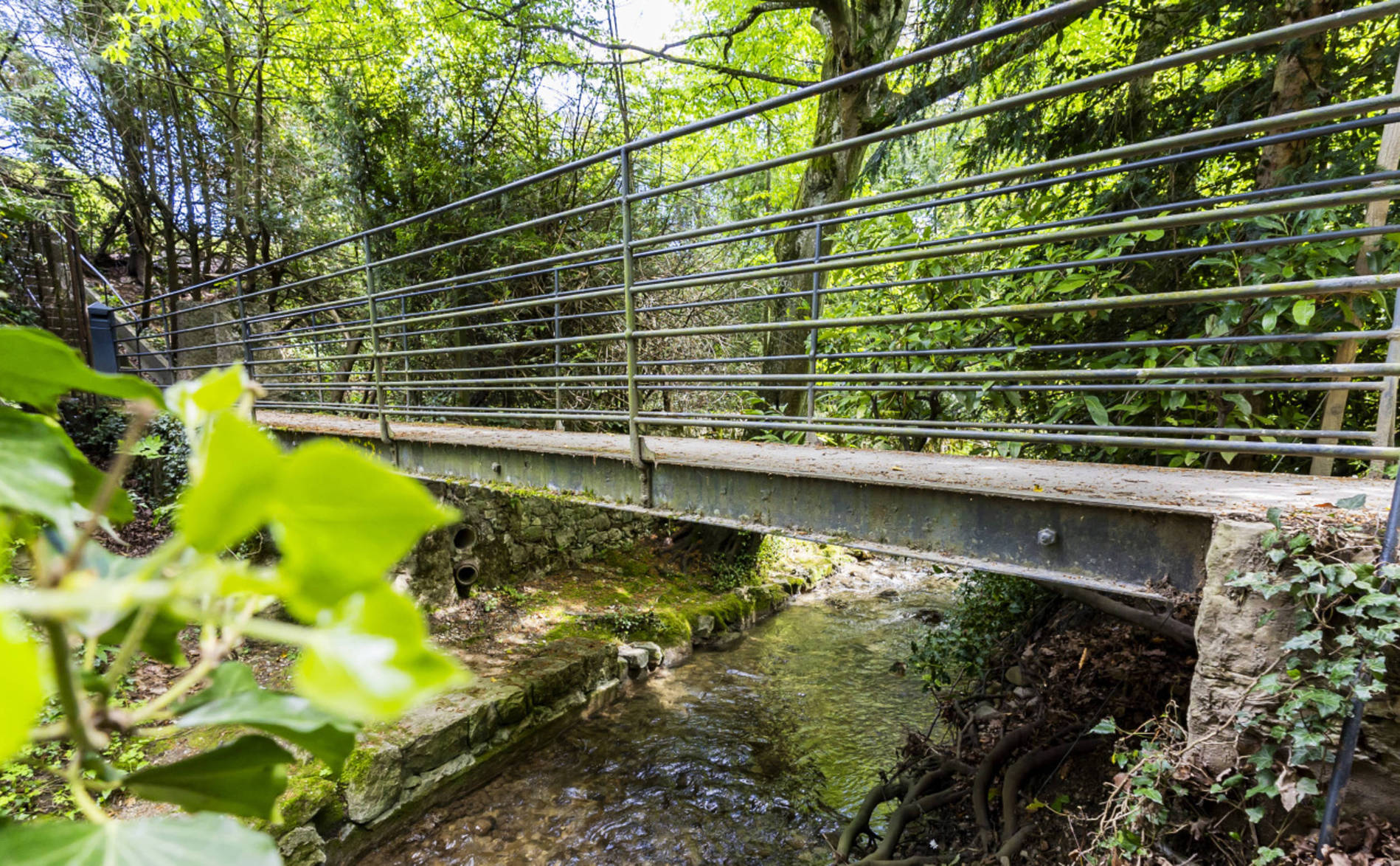 Une passerelle sur la Drize contestée dans les urnes à Troinex