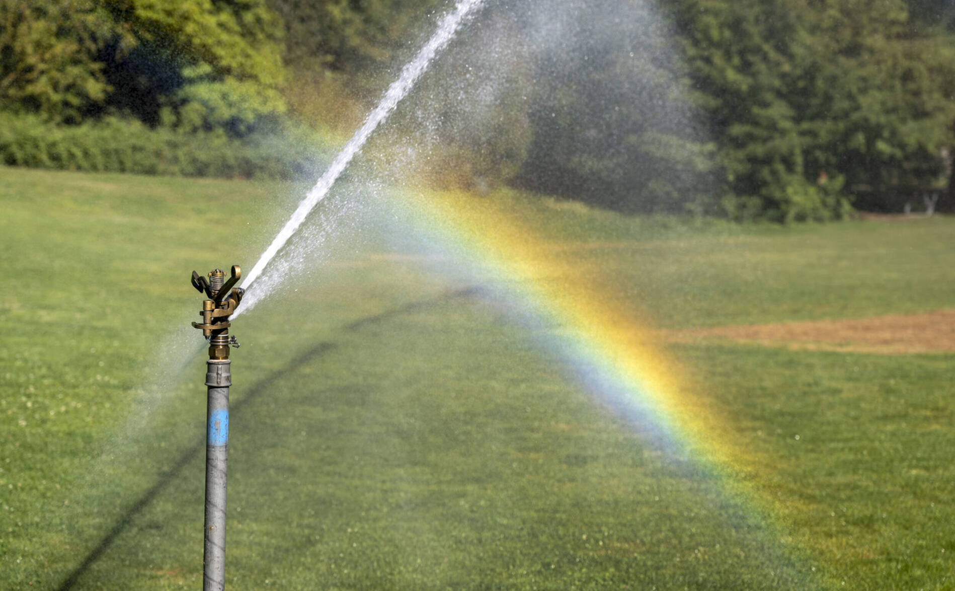 Les pluies n'ont pas comblé le déficit pluviométrique