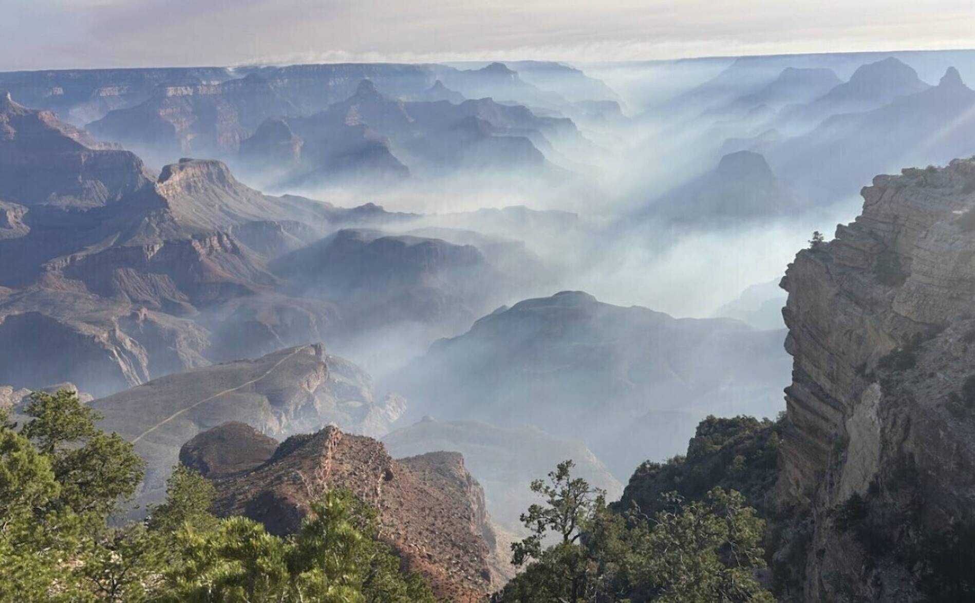 Touristes évacués du Grand Canyon à cause d'un vaste incendie