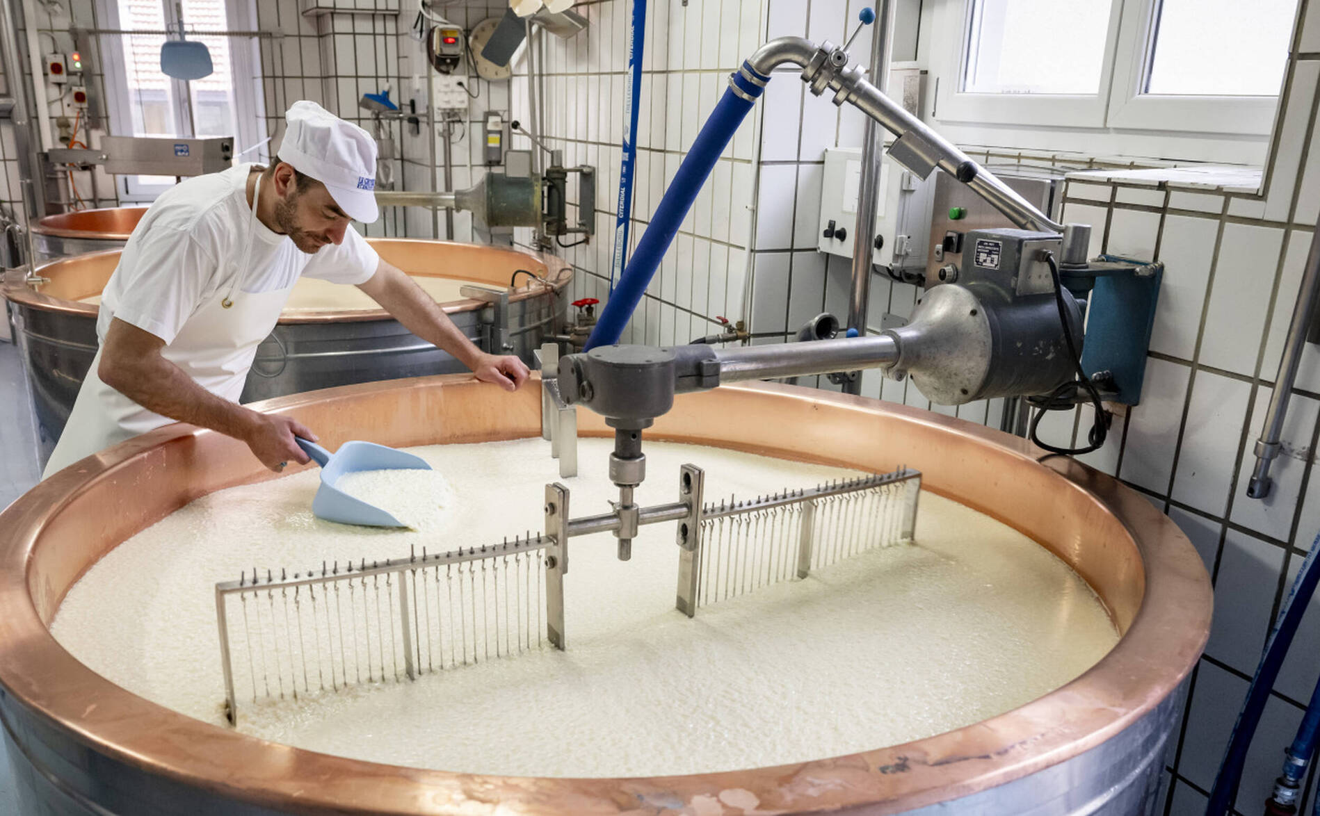 Les produits laitiers suisses ont le vent en poupe