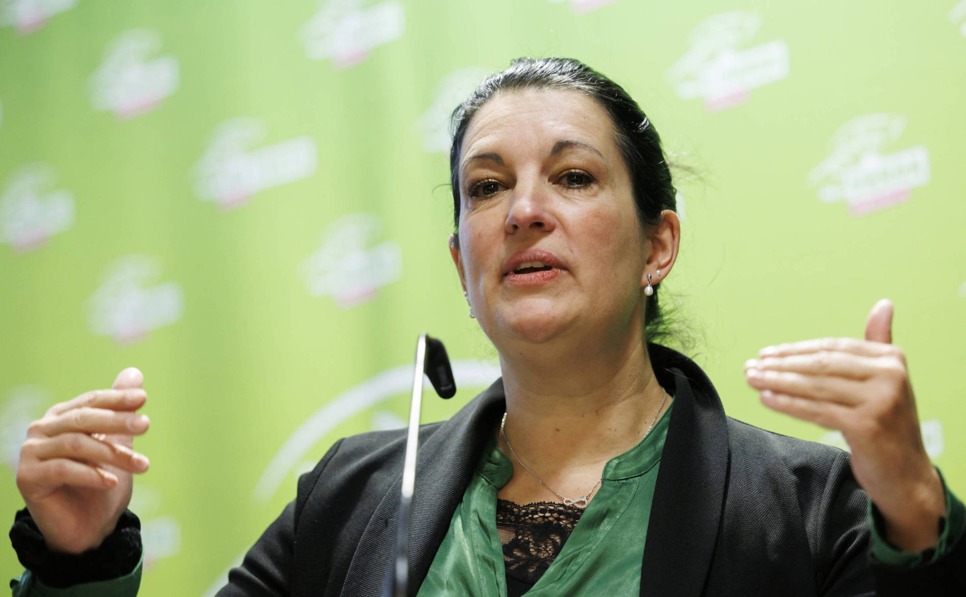 La présidente des Verts s'exprime sur l'affaire Fischer