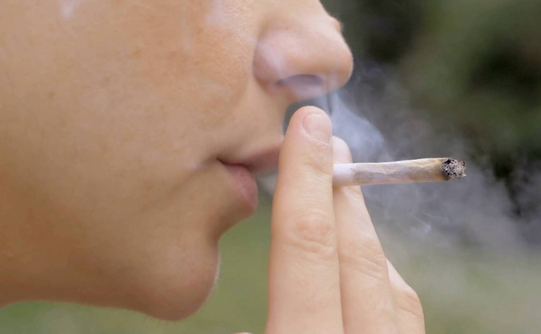 Essai-pilote: la Cannabinothèque ouvrira en décembre 2023