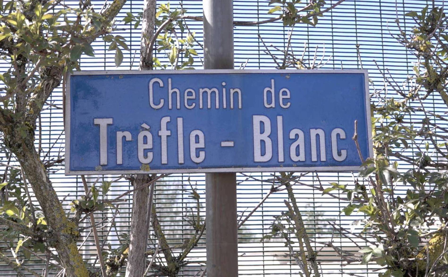 Retour sur les dates clés de la patinoire du Trèfle-Blanc