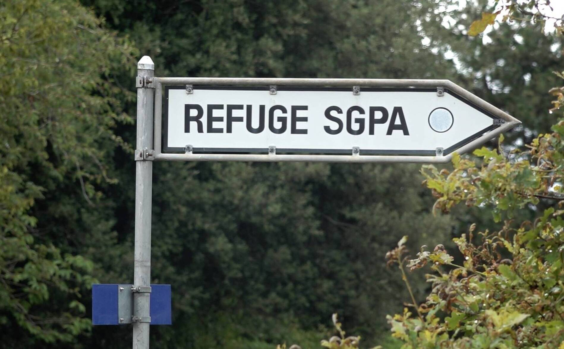 SPA: le comité démis tente son retour par l'achat de votes