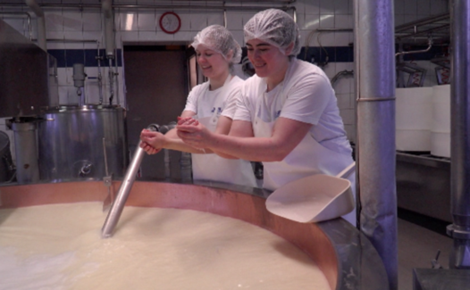 1115, il était une fois le Gruyère