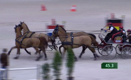 Concours Hippique Internationnal de Genève