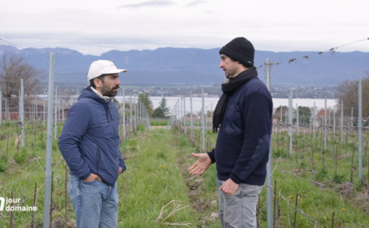 Un jour, un domaine