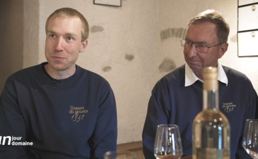 Un jour, un domaine