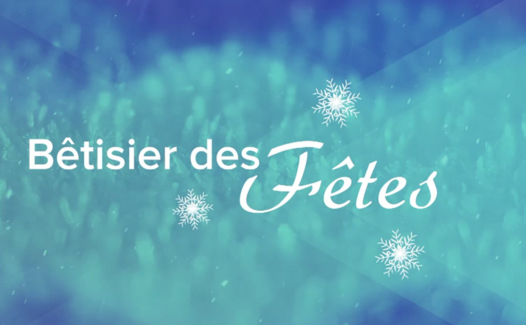 Le Grand Bêtisier des fêtes