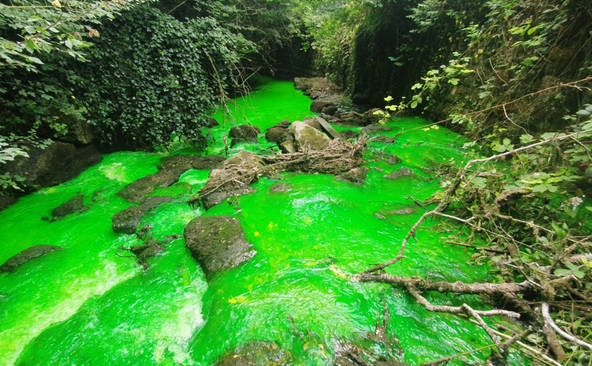 Des rivières colorées en vert fluo pour dénoncer la pollution