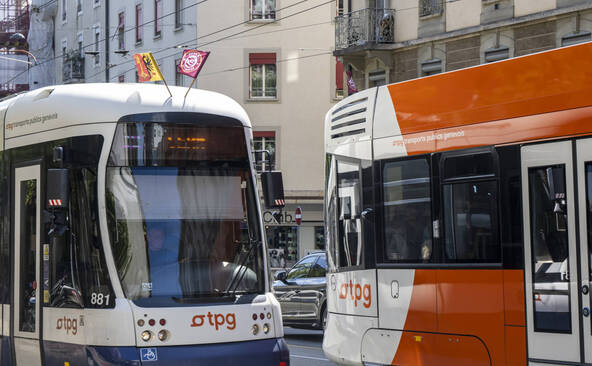 Des bus à la place des trams cet été entre Plainpalais et Carouge
