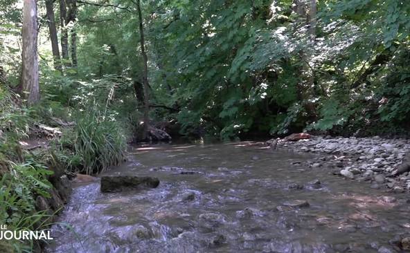 Nouvel épisode de pollution dans la Seymaz