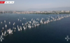 Le Bol d'Or du Léman