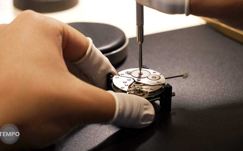 Tempo - Watches and Wonders #4