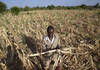 La Zambie demande plus de 900 millions face à la sécheresse