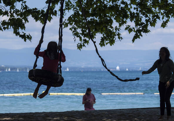 L'arbre central de Baby-Plage doit être abattu et les jeux retirés
