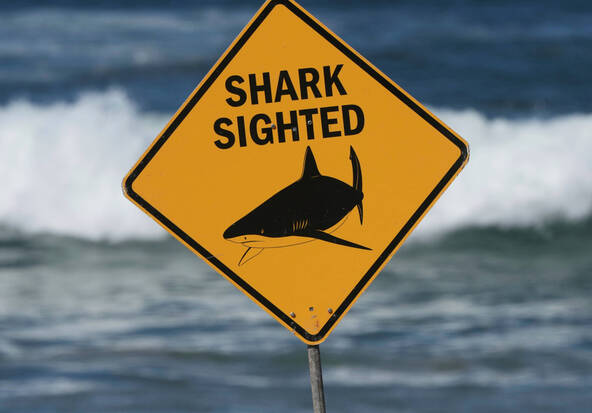 Une attaque de requin fait un mort et un blessé en Australie