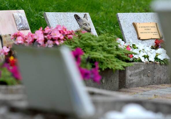 Echec de l'initiative pour un jardin du souvenir pour les animaux