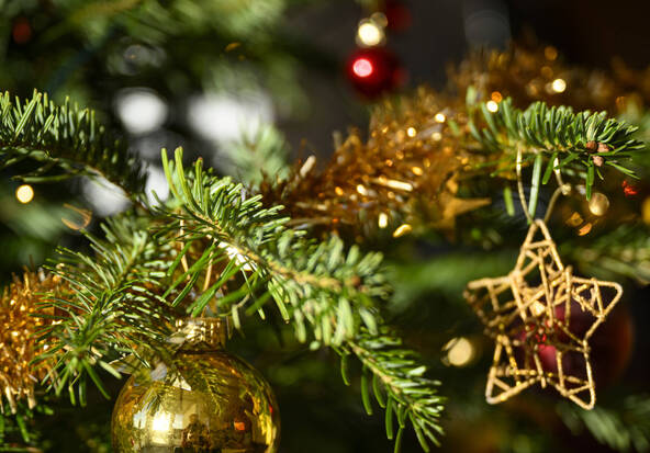 Des endroits pour ne pas passer seul les Fêtes de fin d'année