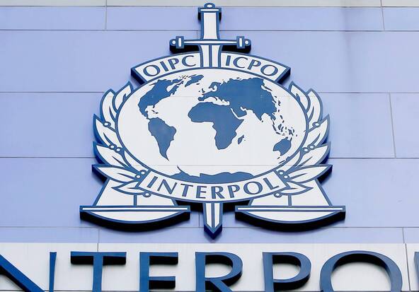 Le trafic d'animaux vivants a atteint de nouveaux records