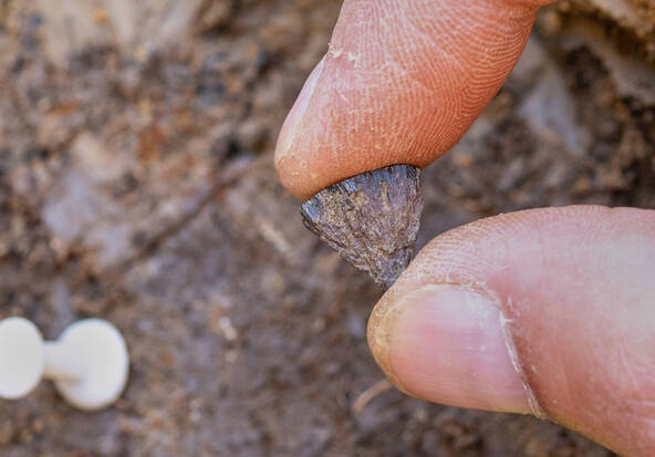 La plus ancienne preuve de maîtrise du feu trouvée au Royaume-Uni