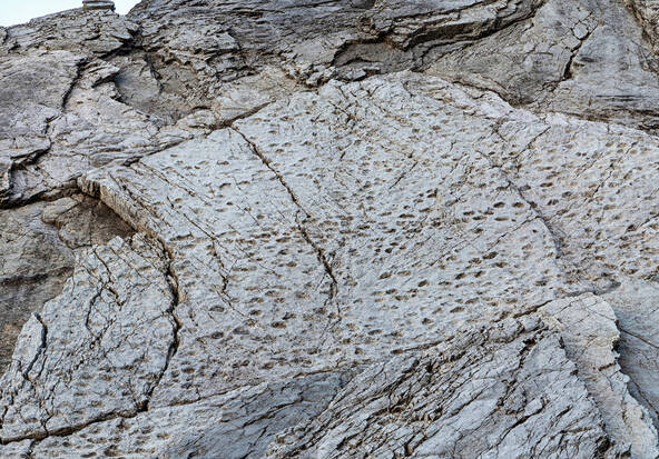 « Immense » ensemble d'empreintes de dinosaures découvert en Italie