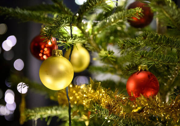 Des policiers saint-gallois dans le rôle de videurs