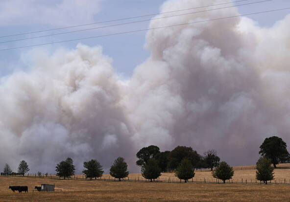 Australie: état de catastrophe dans le sud-est à cause des feux