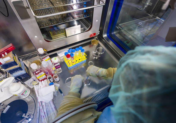 Le centre de production cellulaire d'Epalinges fortement sollicité