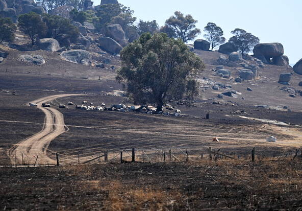 Un mort dans les feux de brousse du sud-est de l'Australie