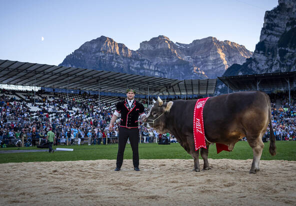 La FFLS de Mollis (GL) clôture ses comptes sur un résultat positif