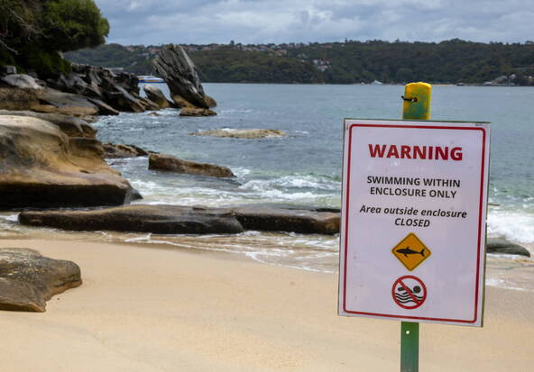 Australie: un enfant meurt des suites d'une attaque de requin