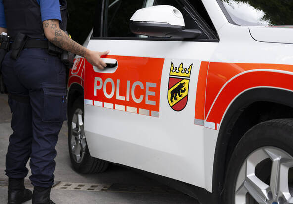 Des porcs et porcelets meurent dans un incendie à Detligen (BE)