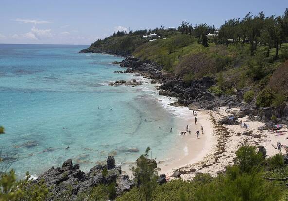 Un petit escargot des Bermudes officiellement sauvé de l'extinction