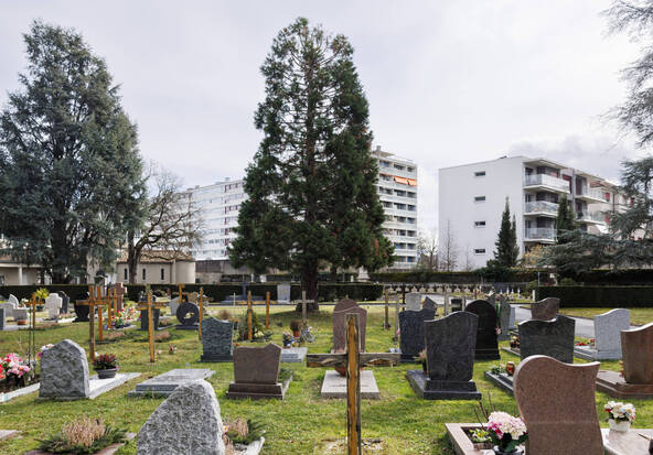 La thématique de la mort à travers le prisme de l'égalité de genre