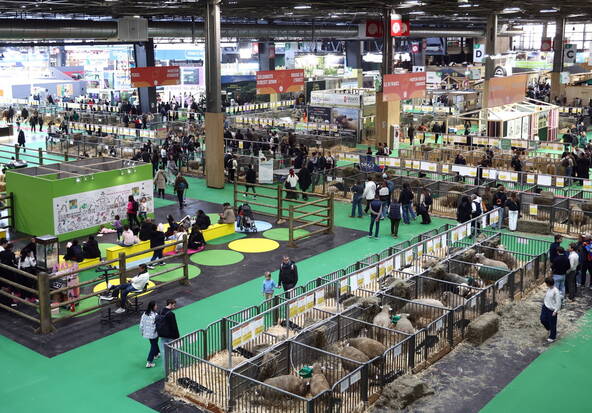 Chute de la fréquentation pour le Salon de l'agriculture