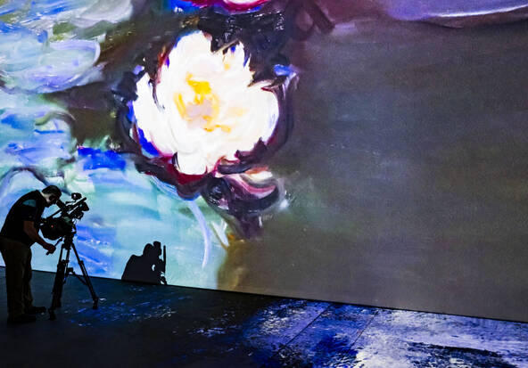 A Lausanne, les Nymphéas de Monet de la tête aux pieds à Beaulieu