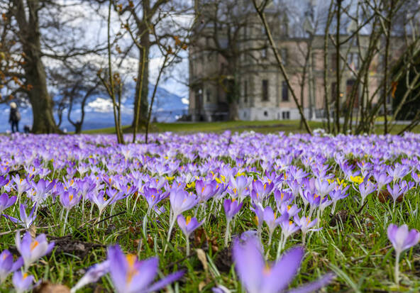 Le printemps commence toujours plus tôt