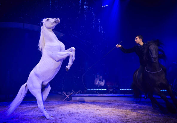 Sons et lumières innovants pour la tournée 2026 du Cirque Knie