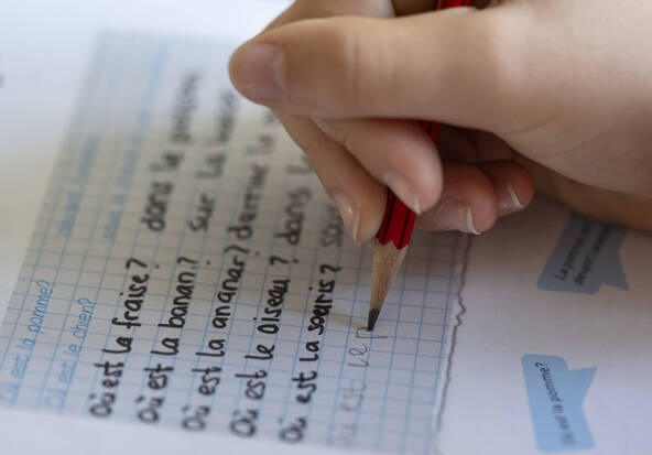 Schaffhouse met en question le français ou l'anglais au primaire